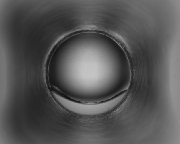 X0000092041326200710031017