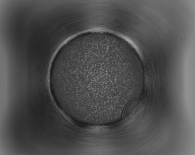 X0000092041327200710031017