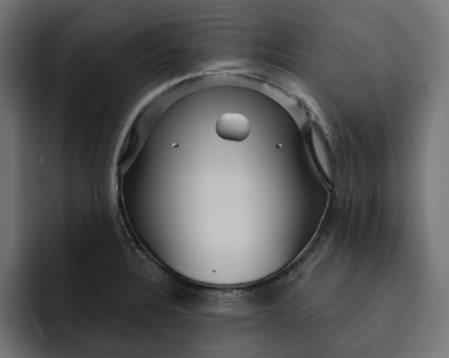 X0000092041328200710031018