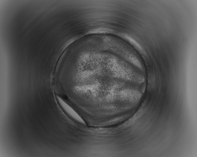 X0000092041329200710031018