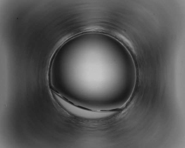 X0000092041330200710031018