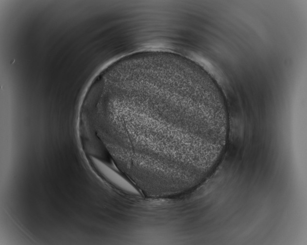 X0000092041331200710031018