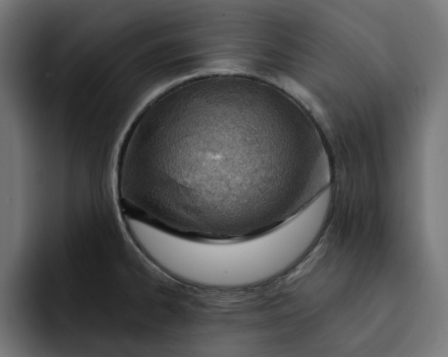 X0000092041334200710031018