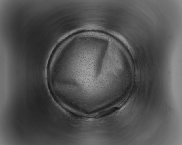 X0000092041335200710031018