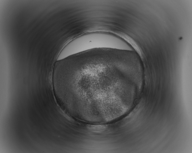 X0000092041337200710031018