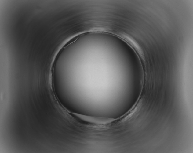 X0000092041340200710031018