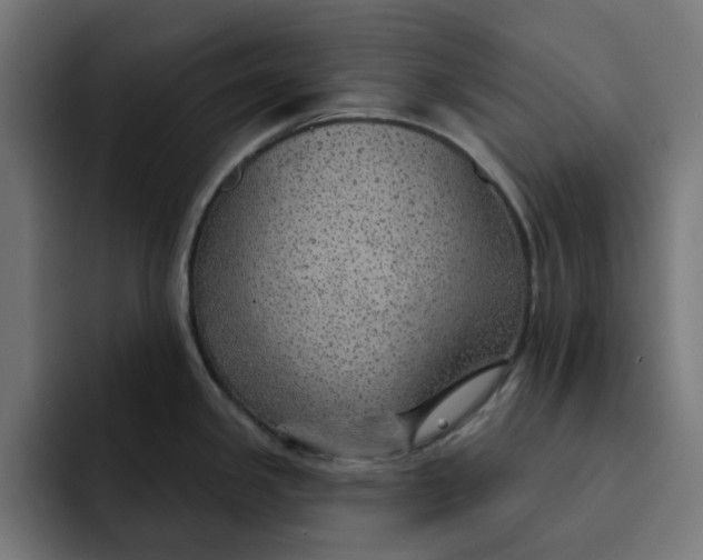 X0000092041341200710031018