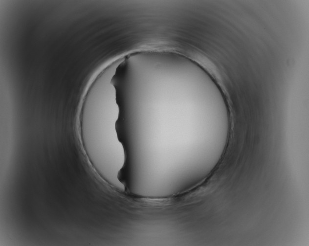 X0000092041344200710031018