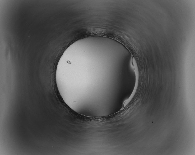 X0000092041345200710031017