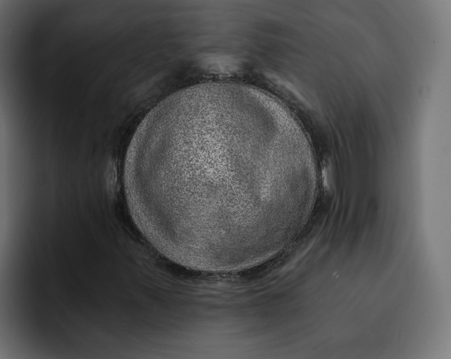 X0000092041347200710031017