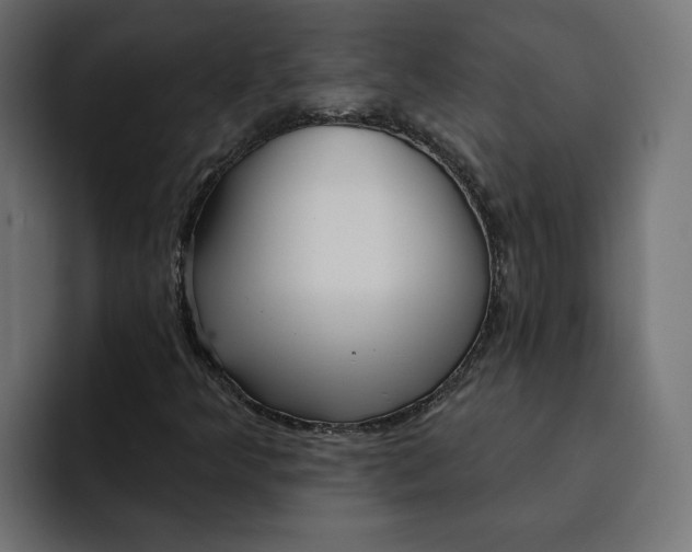 X0000092041349200710031017