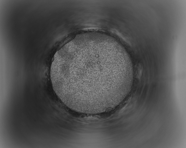 X0000092041351200710031017