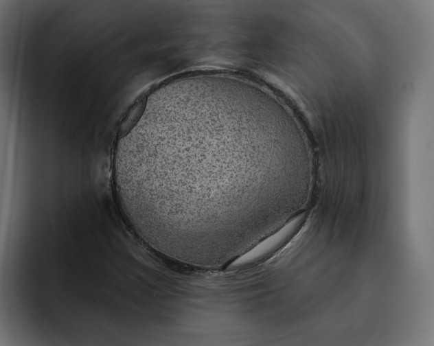 X0000092041355200710031017