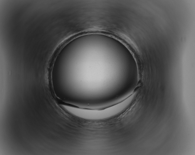 X0000092041356200710031017