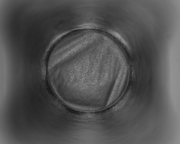 X0000092041358200710031017