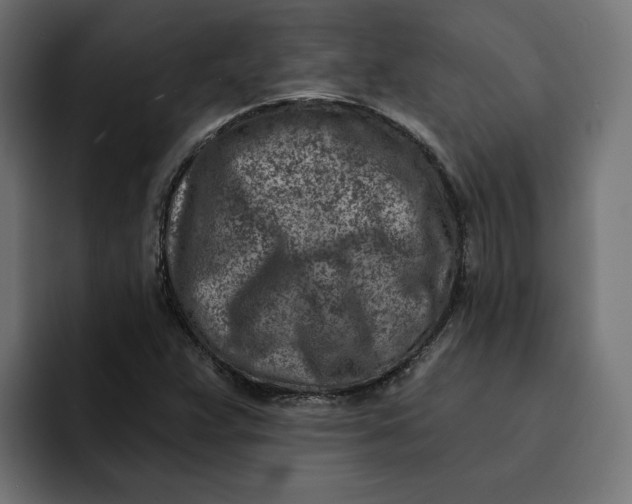 X0000092041359200710031017