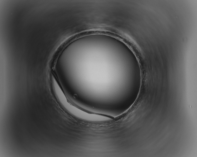 X0000092041360200710031017