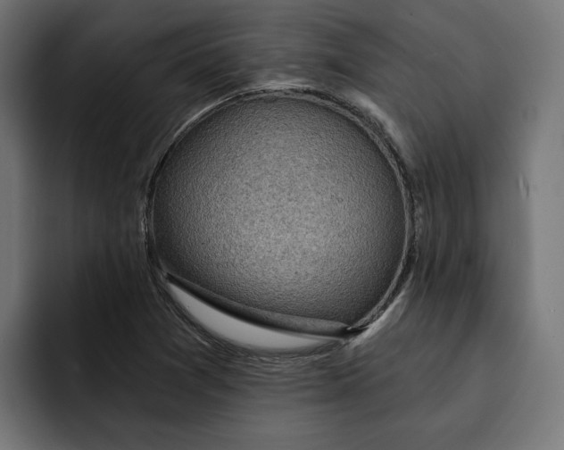 X0000092041361200710031017