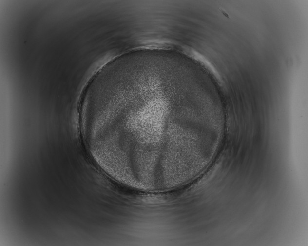 X0000092041362200710031017