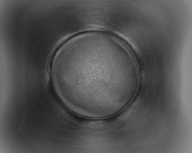 X0000092041363200710031017