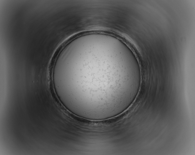 X0000092041364200710031017