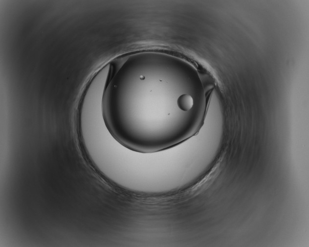 X0000092041365200710031017