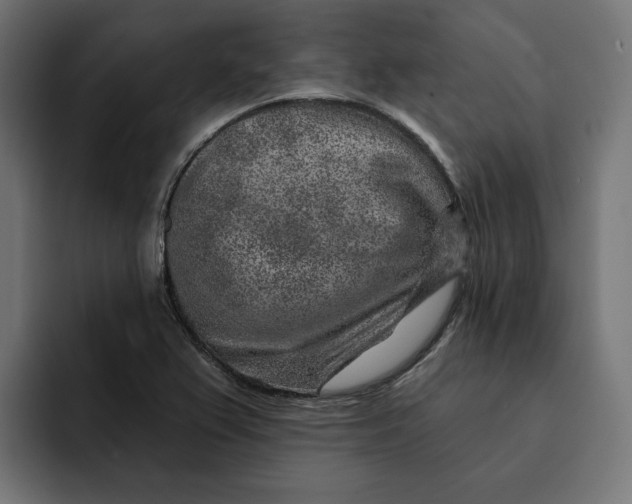 X0000092041367200710031017