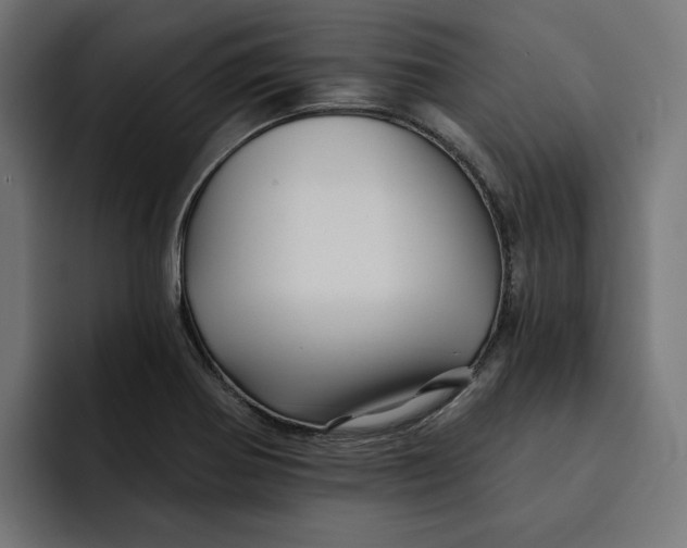 X0000092041370200710031017