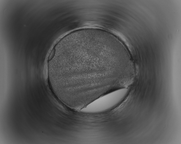 X0000092041371200710031017