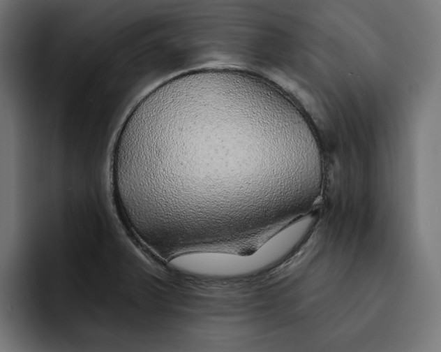 X0000092041375200710031017