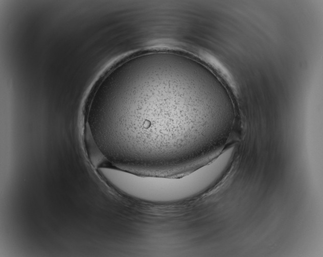 X0000092041376200710031017