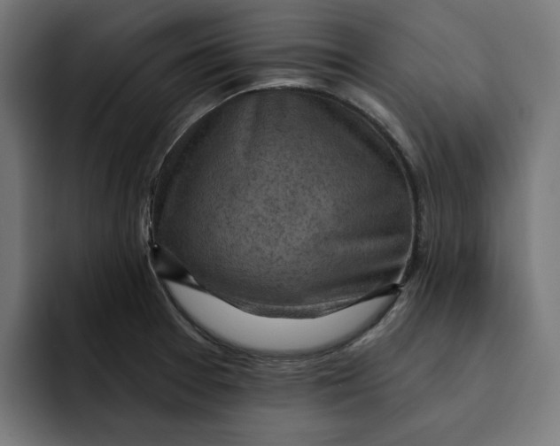 X0000092041377200710031017