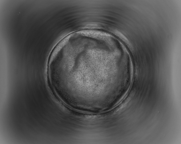 X0000092041378200710031017