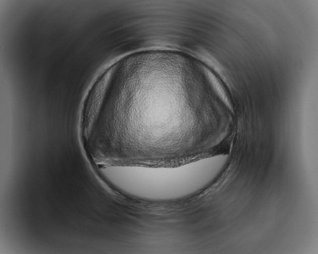 X0000092041379200710031017