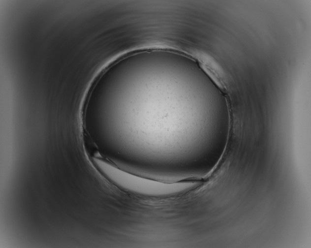 X0000092041380200710031017