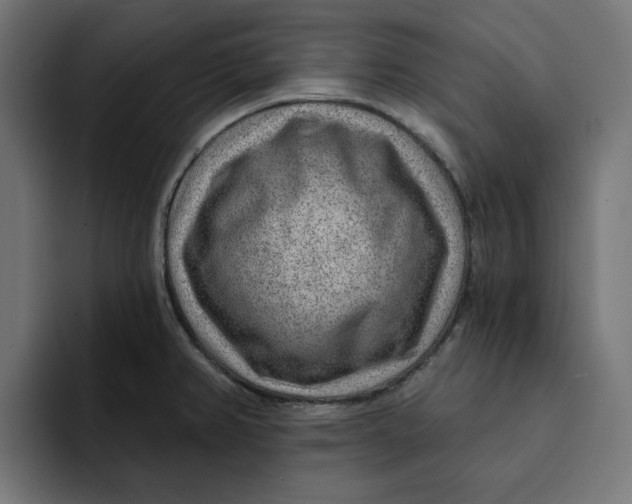 X0000092041382200710031017