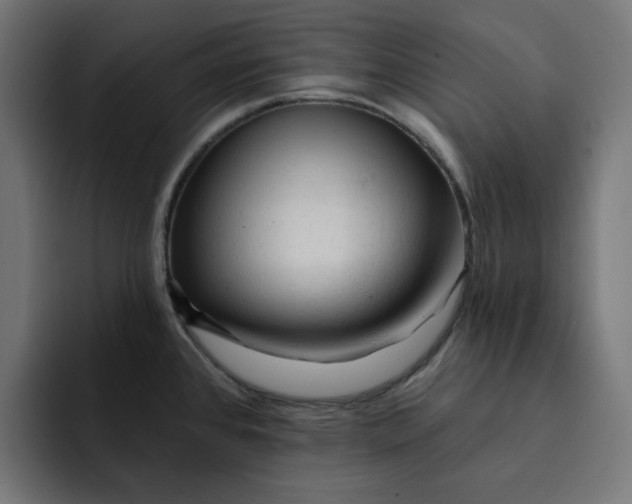 X0000092041384200710031017