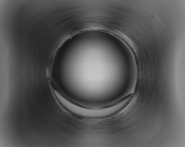 X0000092041385200710031017