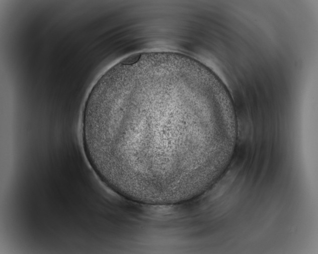 X0000092041387200710031017