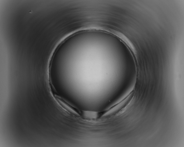 X0000092041388200710031017