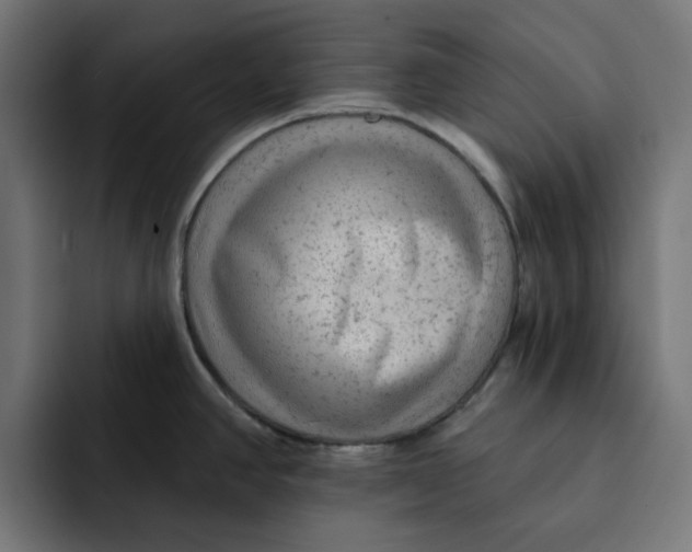 X0000092041390200710031017