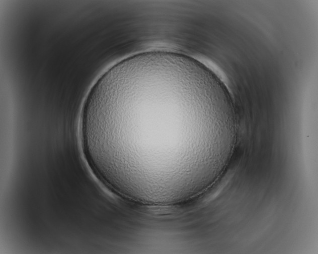 X0000092041391200710031017