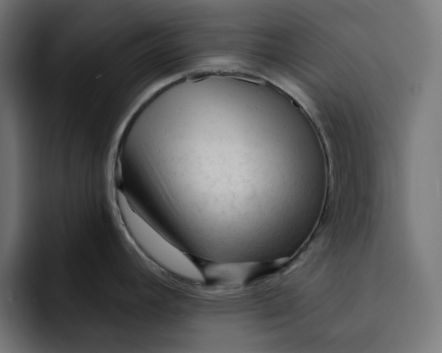 X0000092041392200710031017