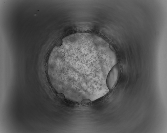 X0000092041393200710031016