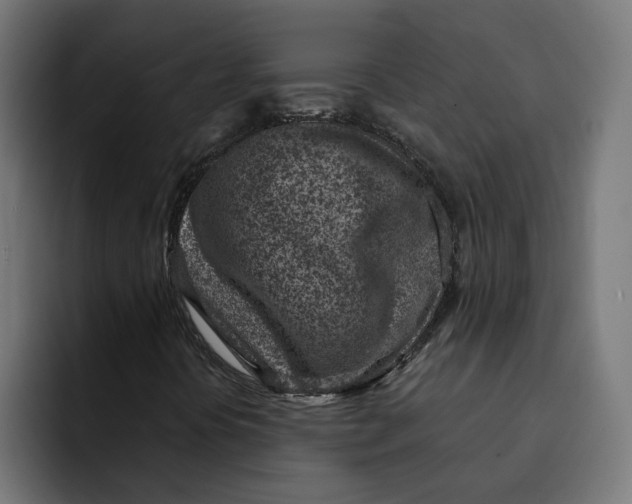 X0000092041394200710031016