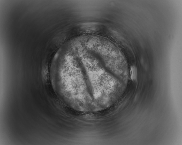 X0000092041395200710031016