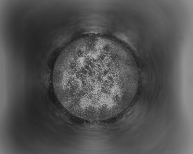 X0000092041399200710031016