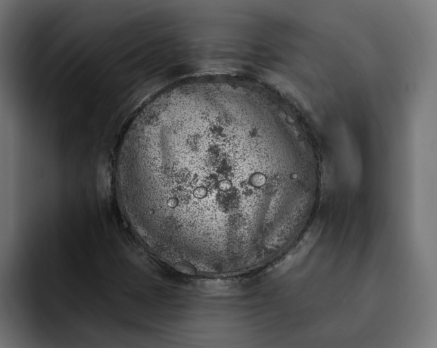 X0000092041401200710031016