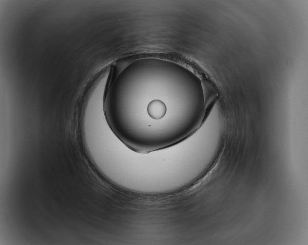 X0000092041402200710031016