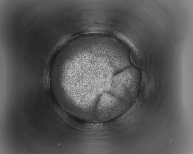 X0000092041403200710031016